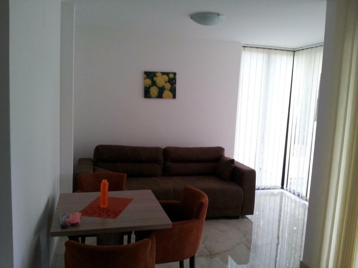 Apartmani Mitic Veliko Gradište Kültér fotó